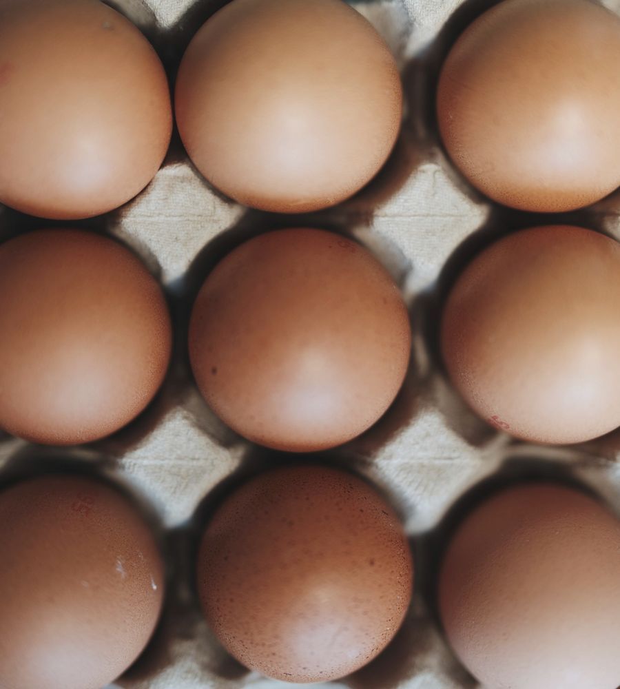 Eggs in a tray